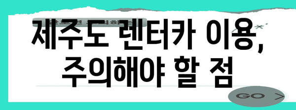 제주도 공항 렌트카 혜택 | 알뜰한 여행 가이드