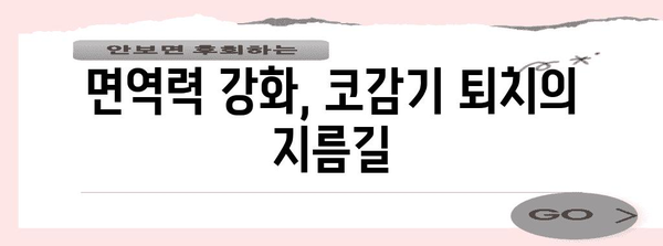환절기 코감기 빠른 해결법 | 증상 완화 꿀팁과 예방 조치
