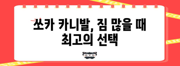 쏘카 카니발 대여 가이드 | 요금, 운행 요금, 정보 총망라