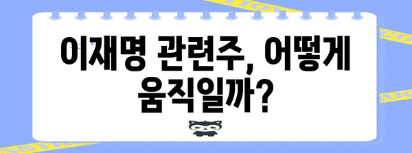 이재명 관련주 | 정치적 영향력 분석 및 주식 시장 전략