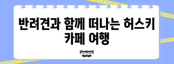 애견과 함께하는 행복한 순간 | 허스키 애견 카페