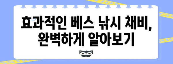 베스 낚시 필수품 가이드 | 기본 장비와 팁