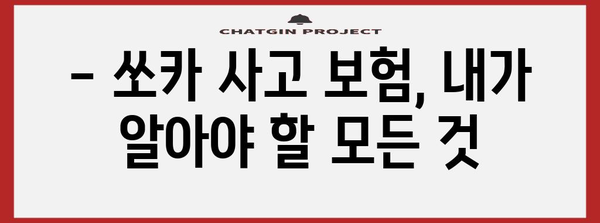 쏘카 임대차 사고 보험 처리 완벽 가이드