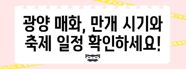 2024년 광양 매화 축제 가이드 | 개화 상태, 행사 일정