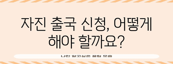 불법체류 특별 출국 제도 가이드 | 자진 출국 신청 방법