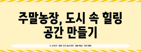 시민 주말농장 성공기 | 나만의 텃밭을 키우는 법