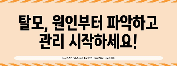 탈모 관리 팁 | 원인 진단 예방 전략