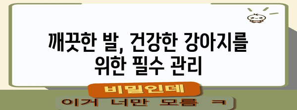 강아지 발 관리 가이드 | 산책 후 발 닦는 것의 중요성