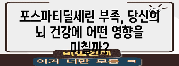 포스파티딜세린 | 기억력과 집중력을 높이는 핵심 영양소