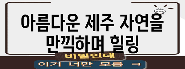 제주 낙타 트래킹 | 잊지 못할 5가지 액티비티