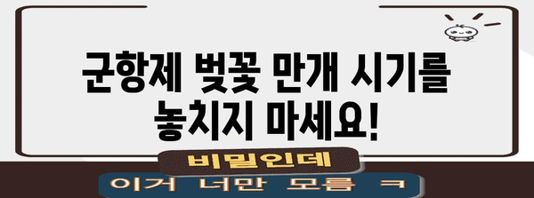 군항제 벚꽃 축제 완벽 가이드 | 교통편, 숙박, 개화 정보