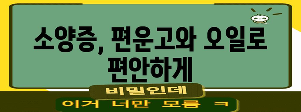 소양증 완화 자연 요법 | 편운고와 오일의 놀라운 힘
