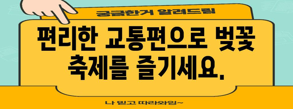 군항제 벚꽃 축제 완벽 가이드 | 교통편, 숙박, 개화 정보