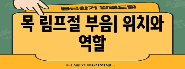 목 림프절 부음 | 위치, 증상, 치료법 알아보기