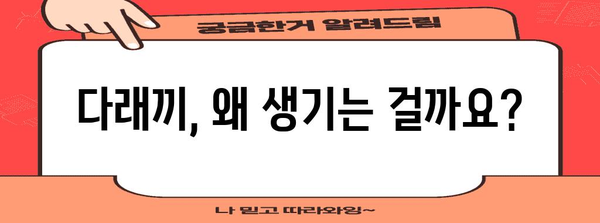 다래끼 원인 분석과 빠른 완치 가이드