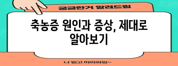 축농증 치료 완벽 정복 가이드 | 방법부터 예방법까지