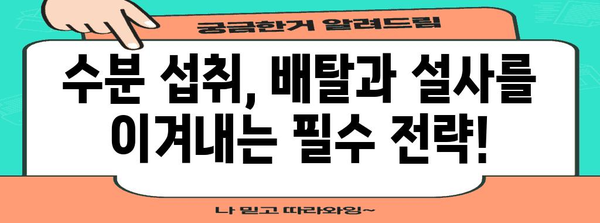 배탈과 설사 관리 생활습관 | 식이, 수분, 운동