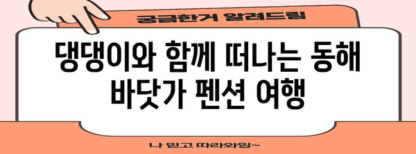 동해 애견 동반 여행 가이드 | 바닷가 펜션 추천