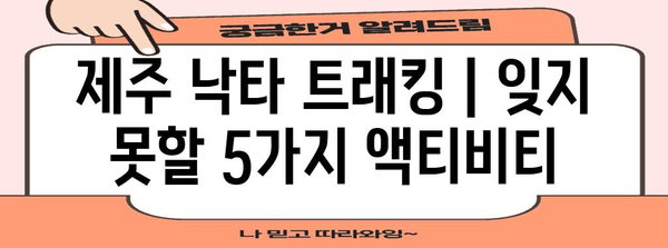 제주 낙타 트래킹 | 잊지 못할 5가지 액티비티