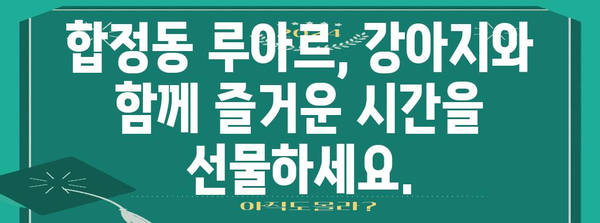 합정동 애견 동반 카페 루아르 | 강아지와 함께 즐거운 시간