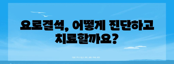 요로결석 대처법 | 증상, 치료 옵션, 통증 관리