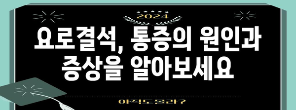 요로결석 대처법 | 증상, 치료 옵션, 통증 관리