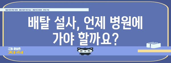 배탈과 설사 관리 생활습관 | 식이, 수분, 운동