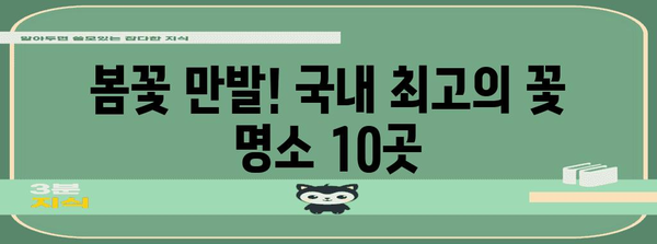 꽃구경을 위한 국내 여행지 베스트 10 | 봄 여행 필수 추천