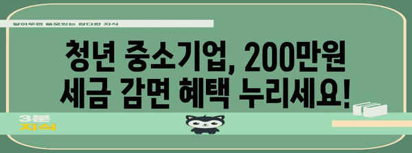 청년 중소기업 세금 감면 200만원 | 가이드와 신청 방법