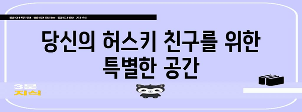 애견과 함께하는 행복한 순간 | 허스키 애견 카페