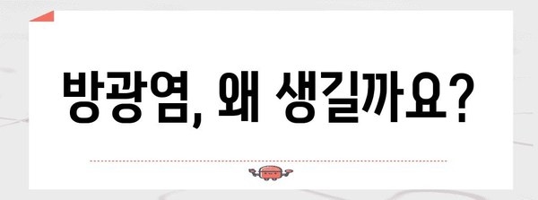 방광염 완벽 가이드 | 원인, 예방, 관리까지