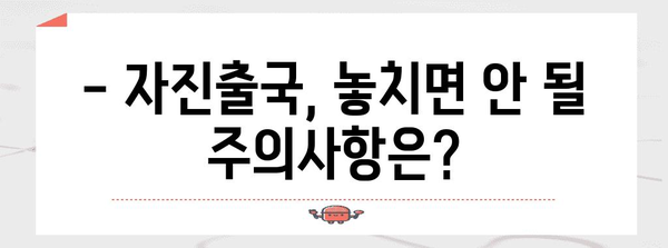 불법체류자 자진출국제도 가이드 | 특별 자격과 주의사항