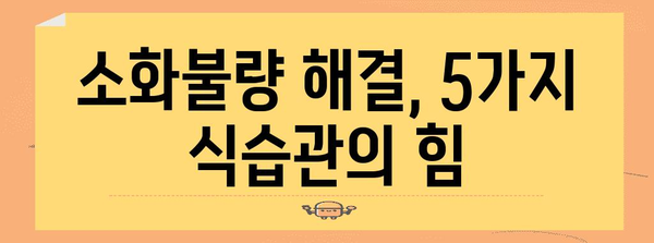 배의 꾸르륵 소리 | 5가지 식습관으로 소화불량 해결