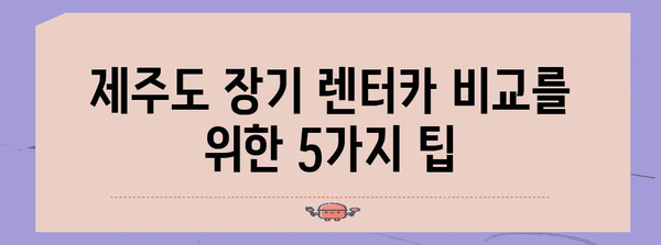 제주도 장기 렌터카 비교 | 옵션, 장단점, 가격