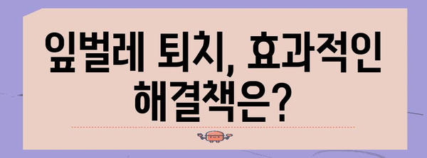 벼룩잎벌레 박멸 가이드 | 천연 방제, 친환경 해결책, 잎벌레 퇴치