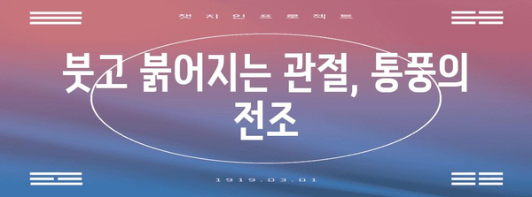 통풍 증상 이해하기 | 요산 수치와 함께 알아야 할 초기 징후