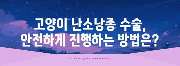 고양이 난소낭종 수술 | 안전하고 효과적인 치료 방법