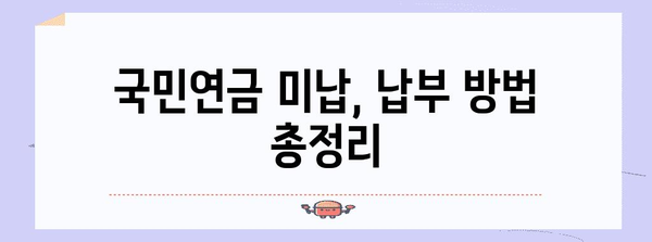 국민연금 미납 문제 해결책 | 지급 방식, 대응법 총정리