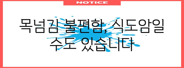 식도암 초기 증상 파악 | 건강한 식도를 위한 가이드