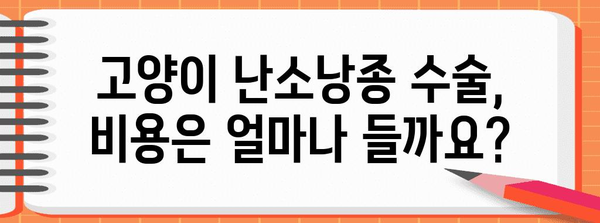 고양이 난소낭종 수술 | 안전하고 효과적인 치료 방법