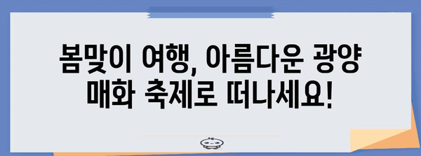 2024년 광양 매화 축제 가이드 | 개화 상태, 행사 일정