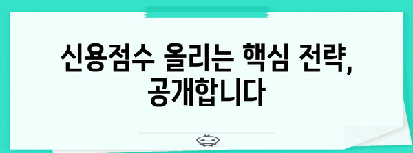 KCB NICE 신용관리 가이드 | 점수 올리기와 신용등급 개선