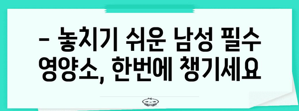 남성 전용 종합 비타민 가이드 | 필수 영양소 한 번에 섭취