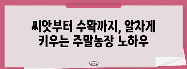 시민 주말농장 성공기 | 나만의 텃밭을 키우는 법