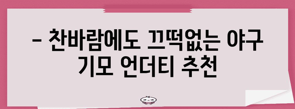 찜찜한 겨울을 따뜻하게 보내는 야구 기모 언더티 추천
