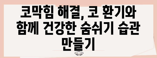 [코막힘 답답함 해결책 | 코 환기 방법과 효과적인 수칙]