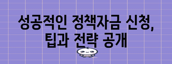 정부 정책자금 신청하기 | 시기, 고려 사항, 성공 확률