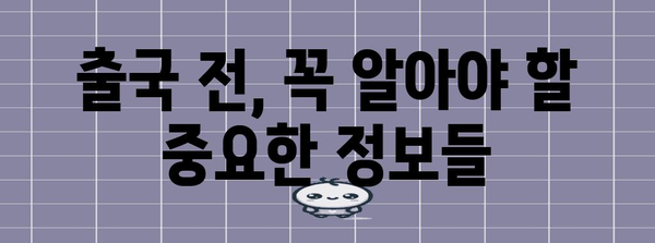 불법체류 특별 출국 제도 가이드 | 자진 출국 신청 방법