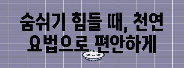 알레르기 코막힘 해소법 | 천연 요법으로 편안함 되찾기