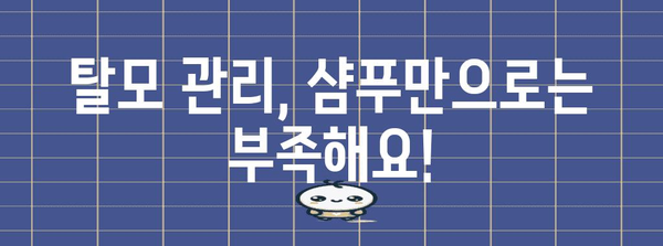 탈모 관리 팁 | 원인 진단 예방 전략